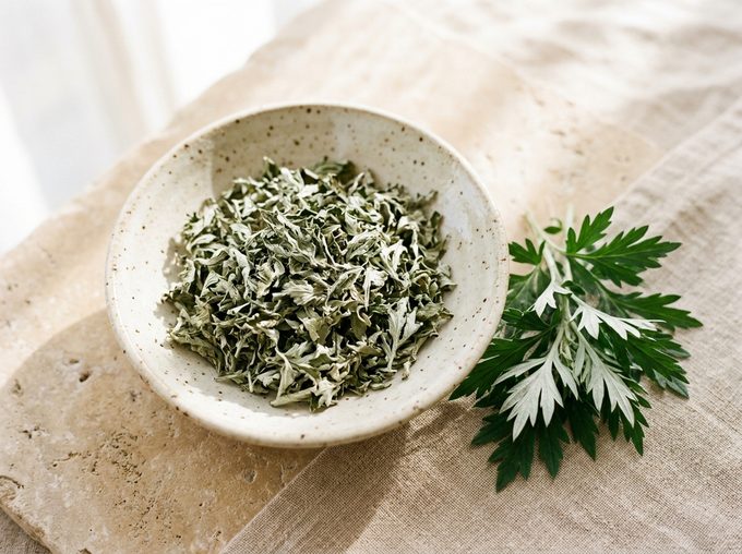 Common Mugwort (Artemisia vulgaris)